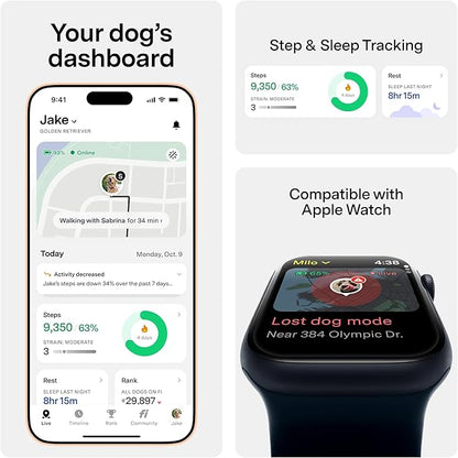 Fi Series 3+ GPS + Health Dog Collar, Gray, X-Small, 12-Month Membership | Smart GPS dog collar with live tracking, health & behavior, Escape Alerts, LED light. Waterproof and Apple Watch compatible.