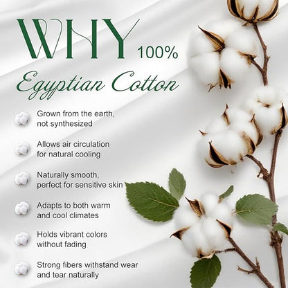 Ivellow 100% Egyptian Cotton Sheets Queen Size Set - 1200 Thread Count 6 PC 18" Deep Pocket Queen Sheets Luxury Cotton Bed Sheets Soft Breathable Cooling White Sheet Set Durable Hotel Quality Bedding