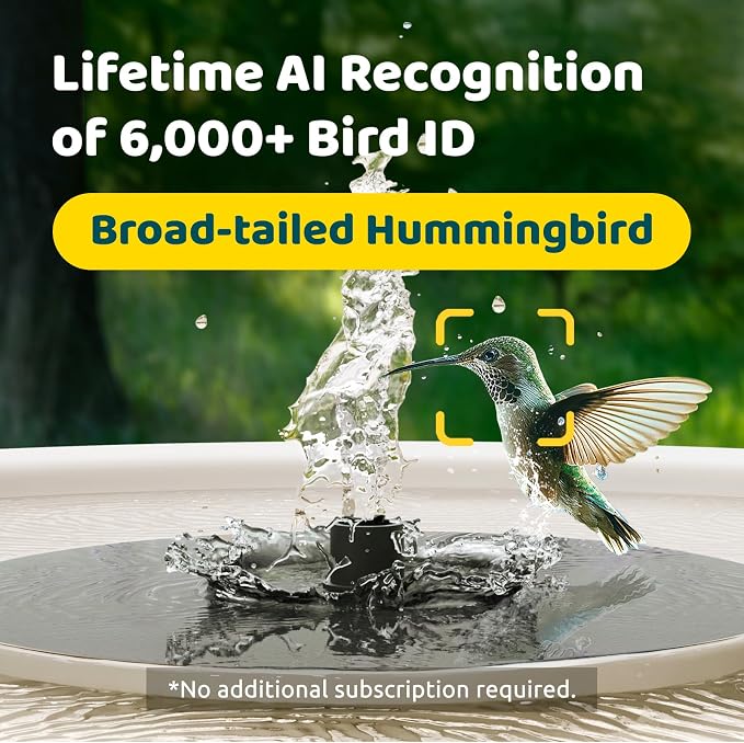 Smart Bird Bath with Camera, Solar Powered & Fountain, 2K AI Camera | Watch Birds Bathe & Drink in Stunning 2K with Dual-Lens Auto Tracking, Solar Power, Fountain and Lifetime AI Bird Recognition