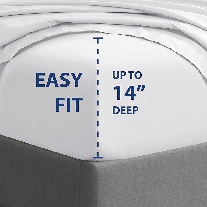 Cathay Home Essentials Ultra Soft Hypoallergenic Wrinkle Resistant Double Brushed Microfiber Bedding Sheet Set, White, Twin