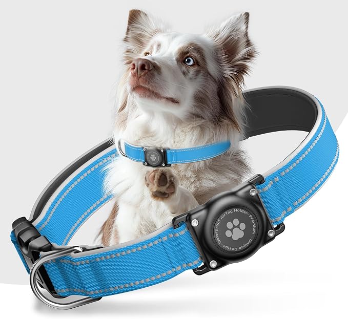 Upgrade Dog Collar with AirTag Holder, IP68 Waterproof, Ocean Blue, S | Built-in Water Resistant AirTag holder, 1000D Nylon, Reflective Stitching for Night Visibility, Soft padding for Comfort