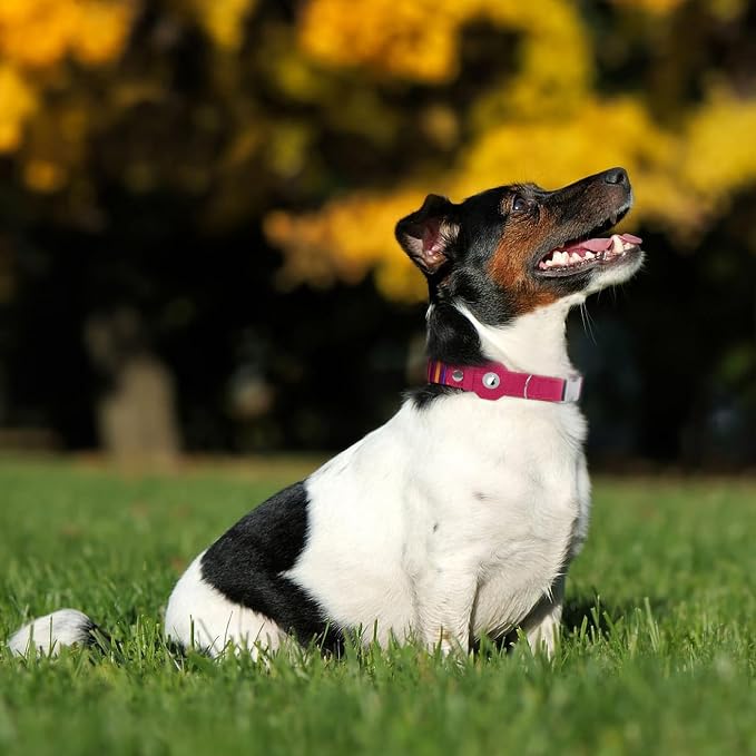 AirTag Dog Collar for Small Medium Large Breed - Adjustable Cute Pattern Dog Collar with Airtag Holder - Soft Leather Tracker GPS Apple Air Tag Pet Collars (X-Small, 9"-12" Neck Fit, Striped)