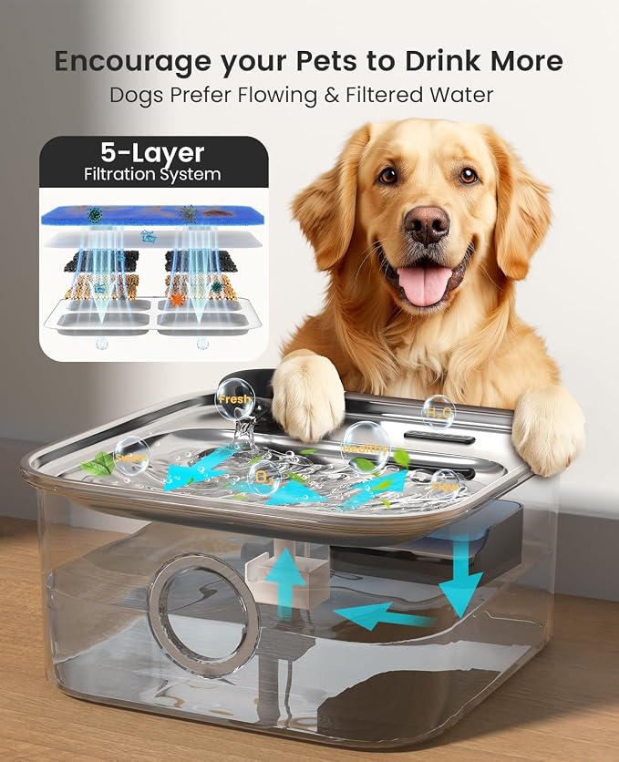 oneisall 10L/2.6Gal Dog Water Fountain for Large Dogs (with 1 Filter) | Deeper & Wider Drinking Area, Visualization Window & Triple Filtration,304 Stainless Steel Dog Water Bowl Dispenser