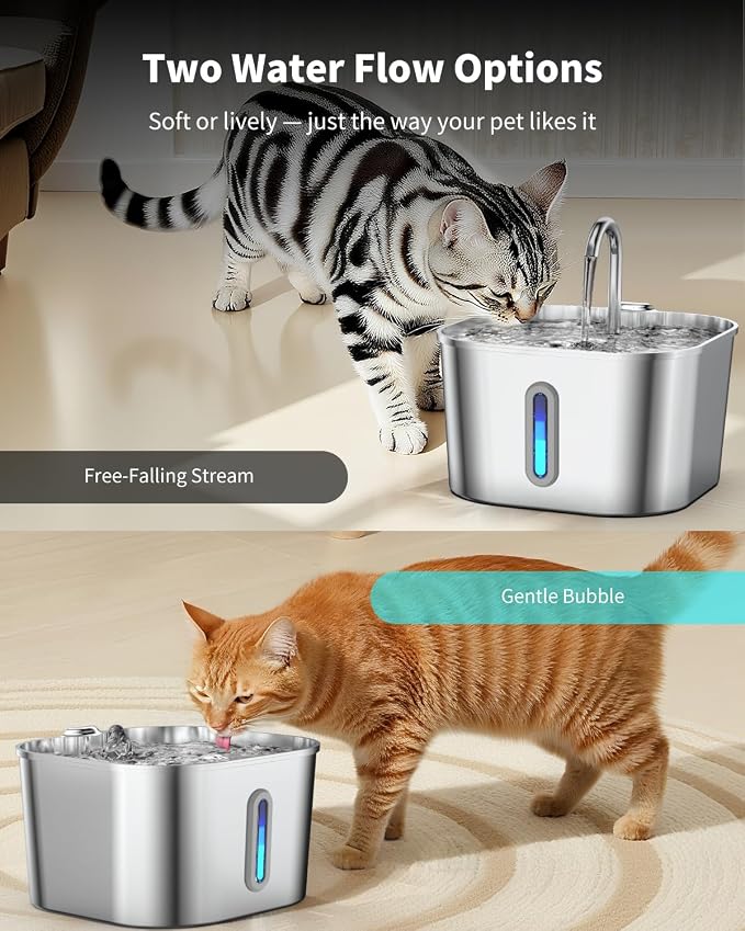 Stainless Steel Cat Water Fountain - 74oz/2.2L Cat Drinking Fountain | Quiet Cat Fountain for Indoor Cats and Small Dogs, Automatic Pet Water Dispenser Keeps Fresh Water, Water Level Window