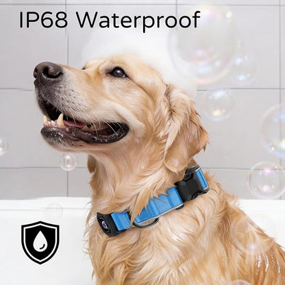 Airtag Dog Collar, Dog Collar with airtag Holder, IP68 Waterproof Leather Dog Collar with Metal Buckle & Lockable Airtag Holder, Heavy Duty Adjustable for Small Medium Large Dogs (Blue L)