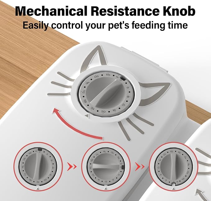 2-Meal Timed Wet Food Pet Feeder for Cats with Ice Packs | 48H Wet Food Dispenser, 700ml Capacity, Battery Powered