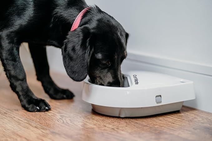 Cat Mate C300 Automatic 3 Meal Pet Feeder with Digital Timer for Cats and Small Dogs