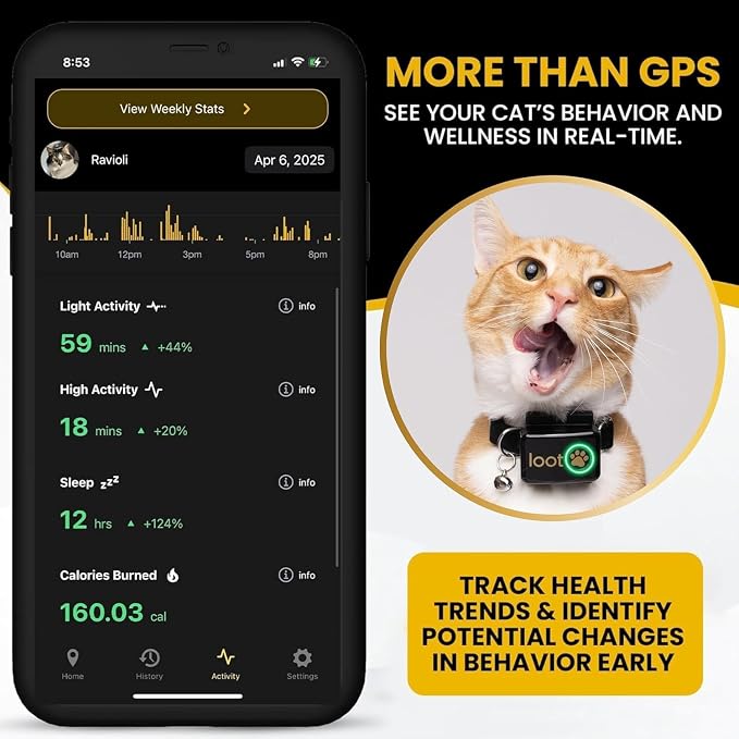 LootPaw+ GPS Cat Tracker Collar | Real Time Cat GPS Tracker with App & Vet Support | Lightweight Pet Tracker for Cats, Health & Activity Monitor | 60-Day Free Trial