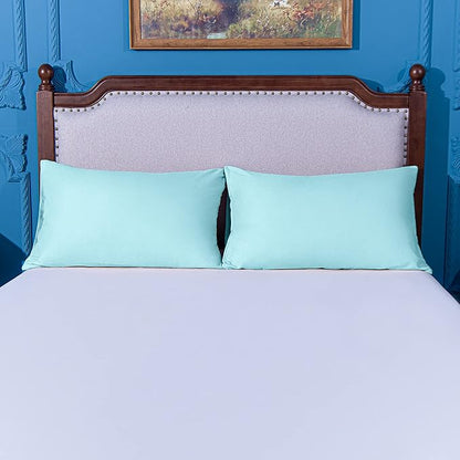 NTBAY Queen Pillowcase Set - 4 Pack Brushed Microfiber 20x30 Pillowcases - Soft, Wrinkle-Free, Fade-Resistant, Stain-Resistant, Aqua Pillowcases with Envelope Closure - 20x30 Inches, Aqua