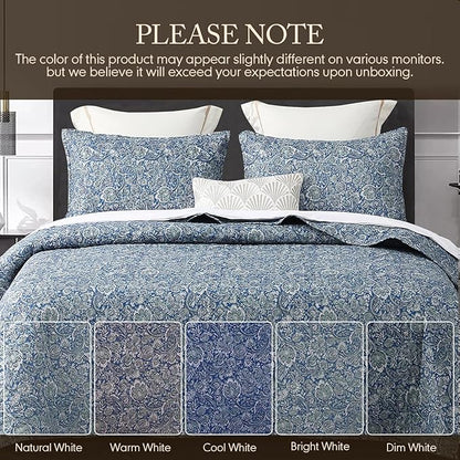 DURLENGEN Quilt Set Queen Size 3Pcs,Soft Microfiber Lightweight Bedspread,Blue & Green Paisley Floral Geometric Pattern Coverlet for All Season Layering(Queen 90x96,Paisley Blue)