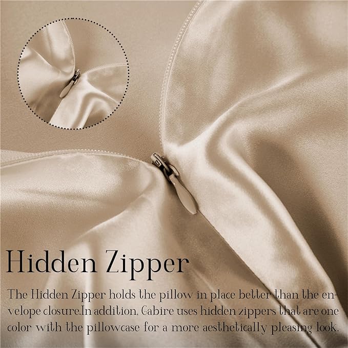 Mulberry Silk Pillow Cases Set of 2, Both Sides Real Silk Pillow Cover for Hair and Skin Prevent Acne Pillowcase Organic Silk Pillowcase 2 Pack with Hidden Zipper, Champagne, Queen (20"×30")