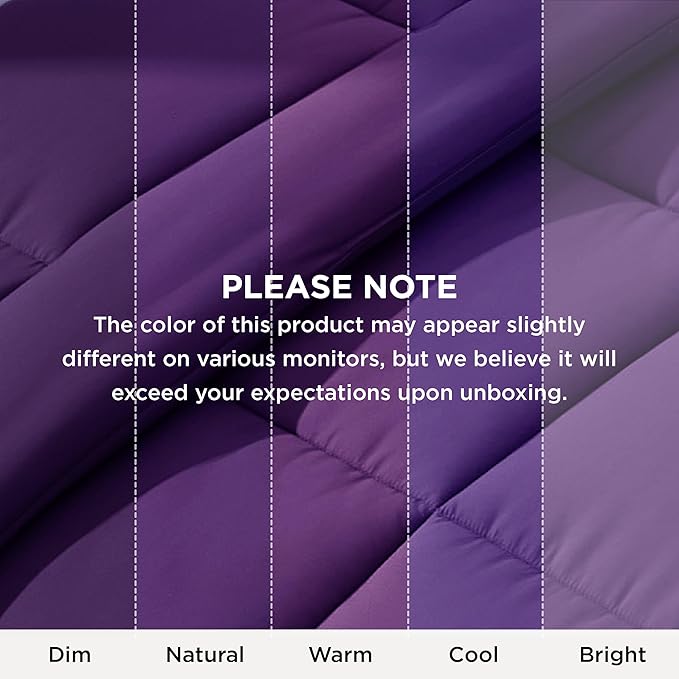 Bedsure Comforter Duvet Insert - Quilted Comforters Queen Size, All Season Duvet, GentleSoft Down Alternative Bedding Blanket, with 8 Tabs, Gifts for Women/Men, Purple, Queen 88 x 88 Inches