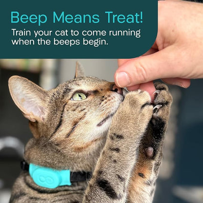 Tabcat V2 Cat & Kitten Tracker - More Accurate Than GPS - No Monthly Fee or Subscription - Includes 4 Homing Tags - Up to 150m Range - Small & Lightweight Tags Perfect to Find Indoor & Outdoor Cats