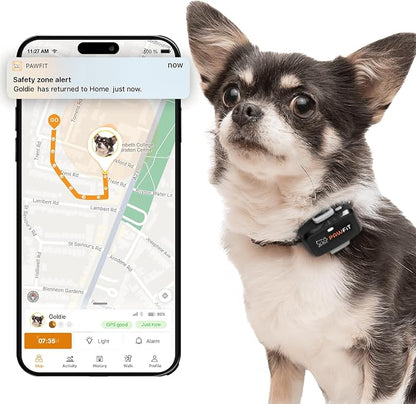 Pawfit Lite 4G GPS Dog Tracker, Live Tracking, Ultra-Light, Onyx Black
