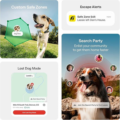 Fi Series 3+ GPS + Health Dog Collar, Gray, Small, 12-Month Membership | Smart GPS dog collar with live tracking, health & behavior, Escape Alerts, LED light. Waterproof and Apple Watch compatible.