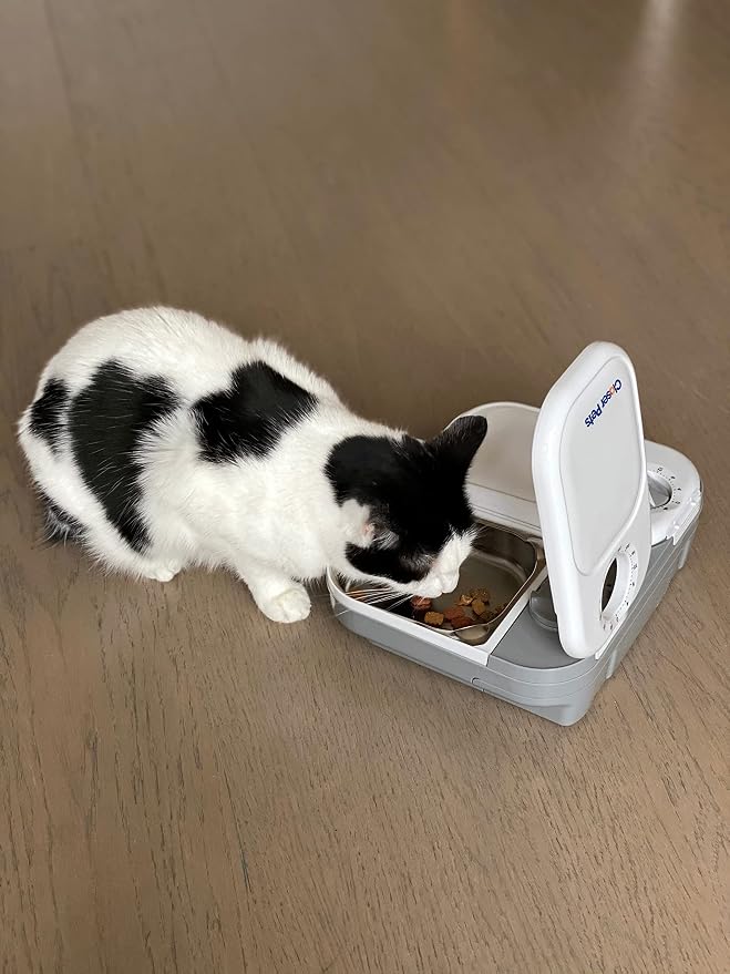 Cat Mate C200 Two-Meal Automatic Pet Feeder for Dry & Wet Food, 400g Each