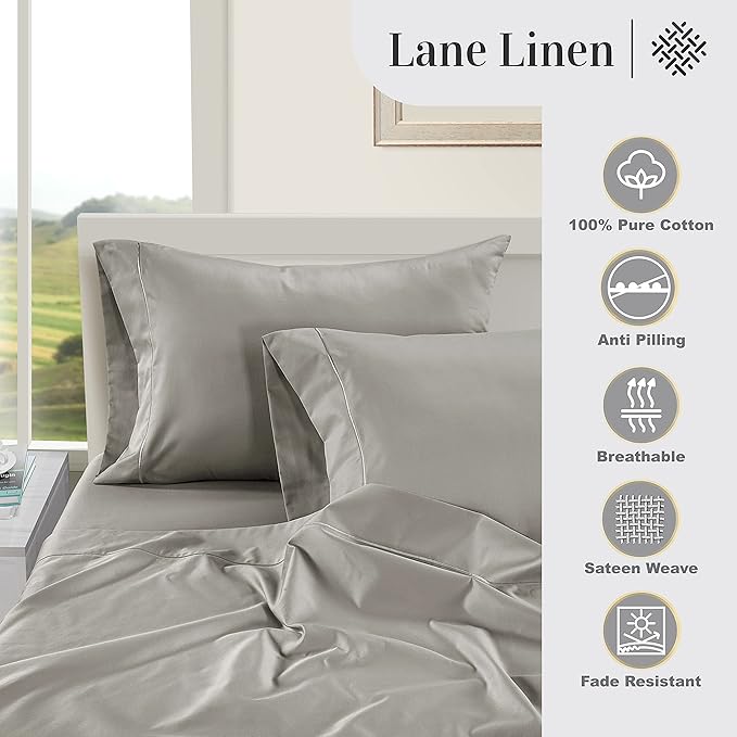 LANE LINEN Pillows Queen Size Set of 2 Soft 100% Egyptian Cotton Cool & Smooth 1000 Thread Count Pillow Cases - Silver
