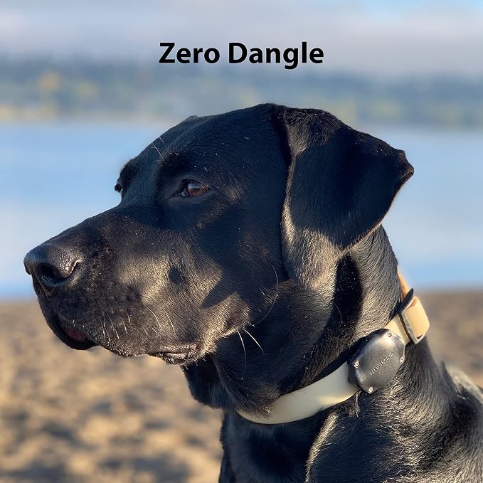 Elevation Lab AirTag Dog Collar Holder - Waterproof (4 Pack) | Secure, Durable, Fits Any Collar Width, Doesn't Dangle, Comfortable