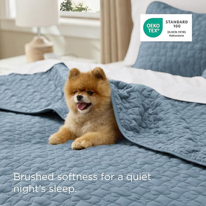 Bedsure Quilts Queen Size - Lightweight Bedspreads Queen Size with Lucky Star Quilting, Soft Quilt Bedding Set, Dusty Blue Comforter Set Coverlet for All Seasons with 2 Pillow Shams (90" x 96") | Skin-Friendly Soft, All-Season Comfort, Breathable, Ligh...