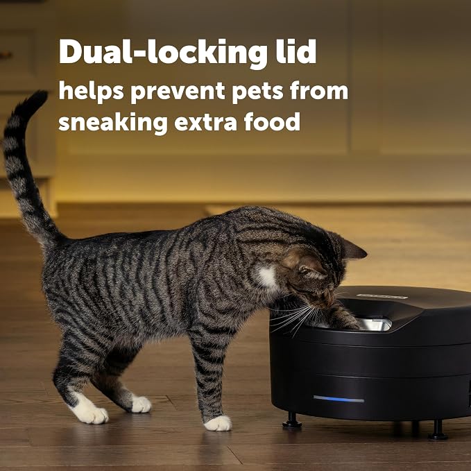 PetSafe FreshFeed Refrigerated Automatic Wet Food Feeder, 6 Meals, Black | 40F Dual Semiconductor Cooling, Keeps Wet Food Fresh, Automatic 6-Meal Rotating Tray, App-Controlled Scheduling