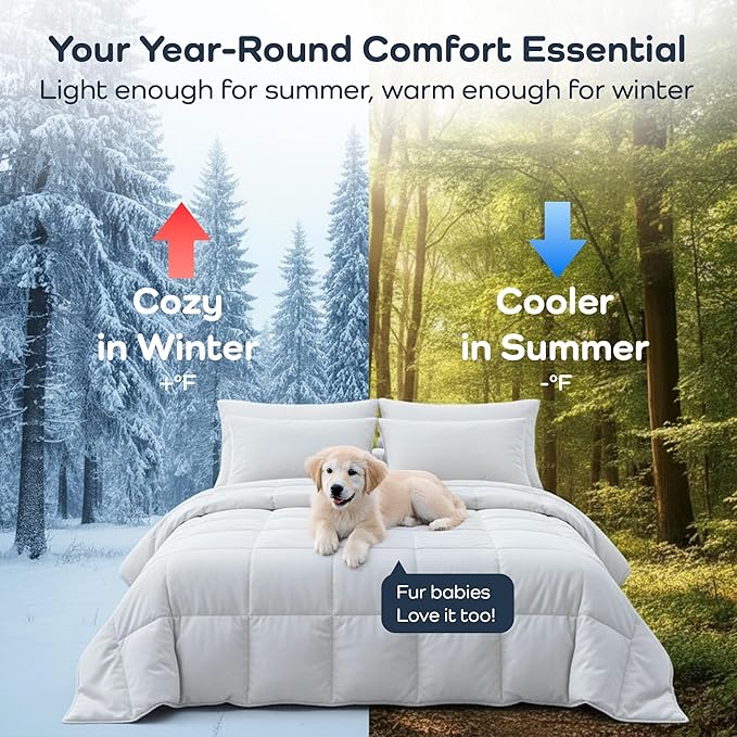 Olive + Crate Cooling Down Alternative Comforter - Hypoallergenic Queen Size Duvet Insert Lightweight - All Seasons Plush Design Bamboo Comforter - 100% Bamboo Viscose Outer Cover - White 88"x90"