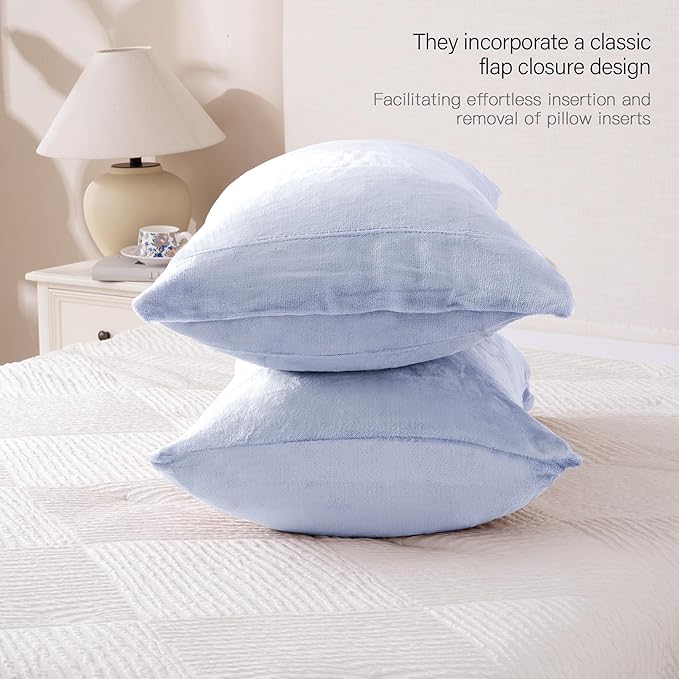 Velvet Queen Pillowcases Standard Size of 2 Pack, Ultra Soft Breathable Pillow Cases with Flap Closure for Bed, Luxury Fuzzy Warm Flannel Velvet Pillow Covers, No Insert (Queen 20x30, Baby Blue)