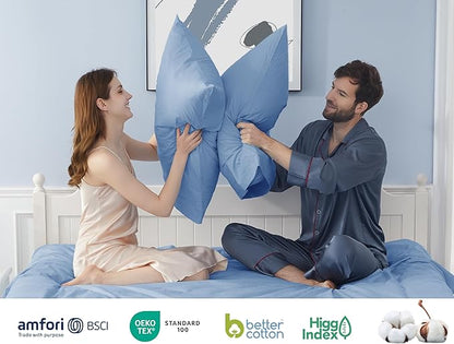 Pillow Cases, Standard Queen Size Cotton Percale Weave Pillowcases, Pre-Shrunk Breathable and Hypoallergenic Pillowcases, Set of 2 (2 Piece Standard/Queen 20 Inch x 30 Inch, Placid Blue)
