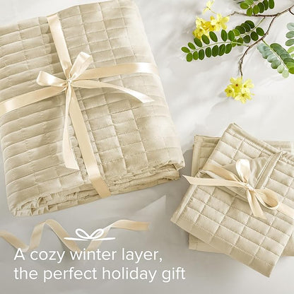 Comfort Spaces Ivory Oversized Queen Quilt Set 102"x118" Bedspread Quilted Summer Lightweight Microfiber Bedding Coverlet with Double Sided Stitching Soft All Season Cozy 3 Piece with Matching Shams