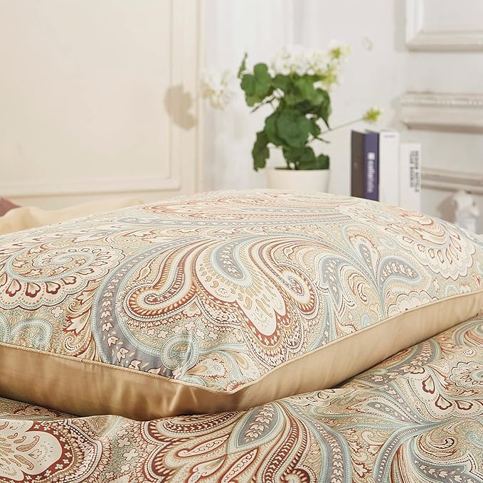 WINLIFE 100% Cotton Pillowcases Queen Paisley Printed Pillow Cases Set of 2 Queen Pillowcase Decorative Pillow Cover (Queen 20x30'', Paisley)
