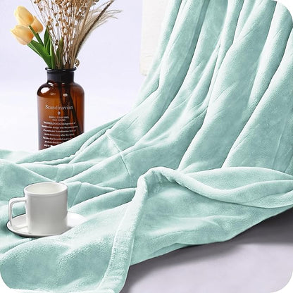 Electric Heated Blanket Queen Size 84"x90", with Dual Control Breathable & Luxurious Flannel, with 4 Heating Levels & 10 Hours Auto-Off, Fast Heating, Machine Washable, for Bedding-Light Green