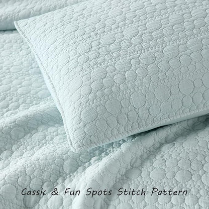 HORIMOTE HOME Quilt Set Queen Size Aqua Blue, Classic Geometric Spots Stitched Pattern, Pre-Washed Microfiber Chic Rustic Look, Ultra Soft Lightweight Quilted Bedspread for All Season, 3 Pieces