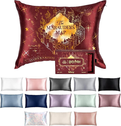 Blissy Silk Pillowcase - 100% Pure Mulberry Silk - 22 Momme 6A High-Grade Fibers - Silk Pillow Cover for Hair & Skin - Regular, Queen & King (Harry Potter - Marauder's Map, Standard)