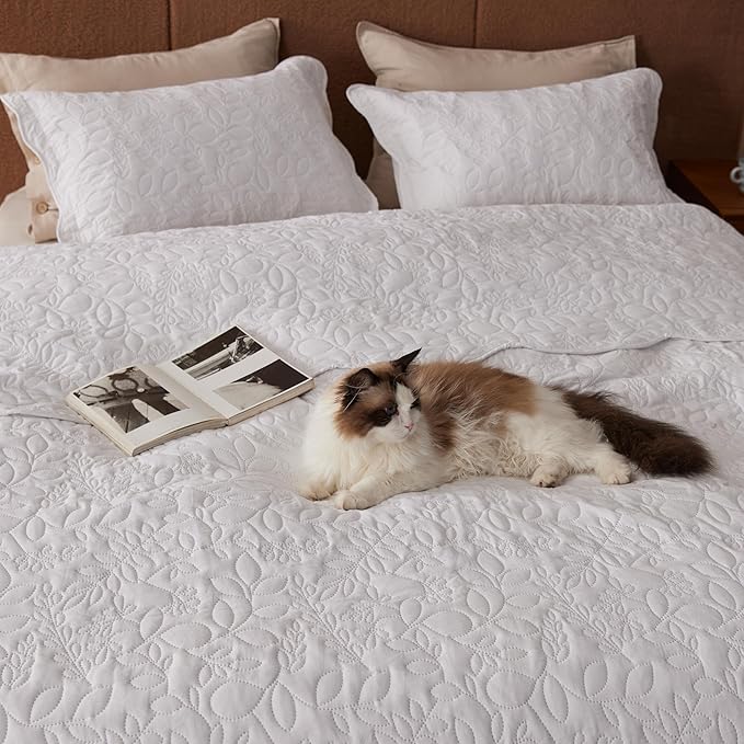 Bedsure Quilts Queen Size - Ultra Soft Pre-Washed Cloud-Like Bedding, All-Season Lightweight Comforter for Country Bedroom, Leaf Design Coverlet in Pure White, 90 x 96 Inches | Stitch-Free Quilting, Ultra Soft, Lightweight, Machine Washable, Pet-Friendly
