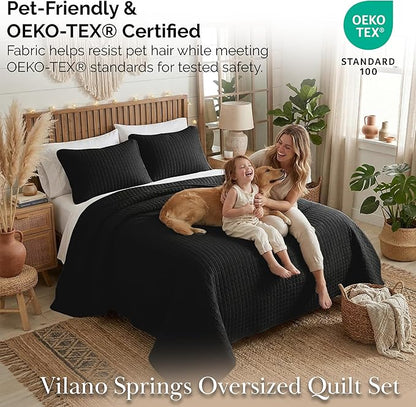 Southshore Fine Living, Inc. Quilts Queen Size Sets, Full Quilt Bedding Set, Pet Hair Resistant Bedding Coverlet Queen Size, Full Size Quilt, Microfiber Comforter with 2 Pillow Shams, Black Quilts