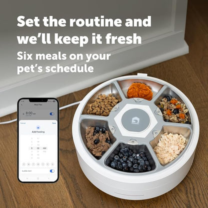 PetSafe FreshFeed Refrigerated Automatic Wet Food Feeder, 6 Meals, White | 40F Dual Semiconductor Cooling, Keeps Wet Food Fresh, Automatic 6-Meal Rotating Tray, App-Controlled Scheduling