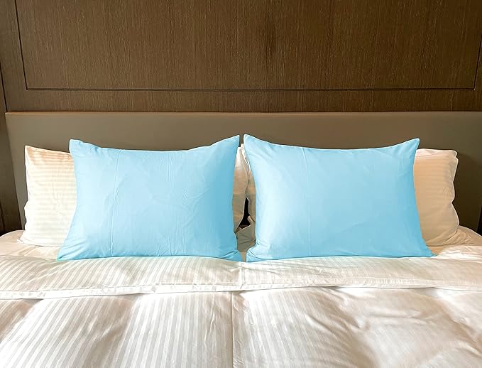 iMaylex Soft 100% Egyptian Cotton Zipper Closure Pillowcases, Cozy and Lightweight Pillow Case, Set of 2, Light Blue, Queen, 20" x 30"