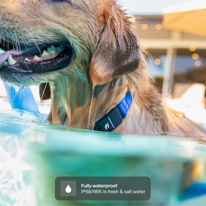 Fi Series 3+ GPS + Health Dog Collar, Yellow, Large, 12-Month Membership | Smart GPS dog collar with live tracking, health & behavior, Escape Alerts, LED light. Waterproof and Apple Watch compatible.