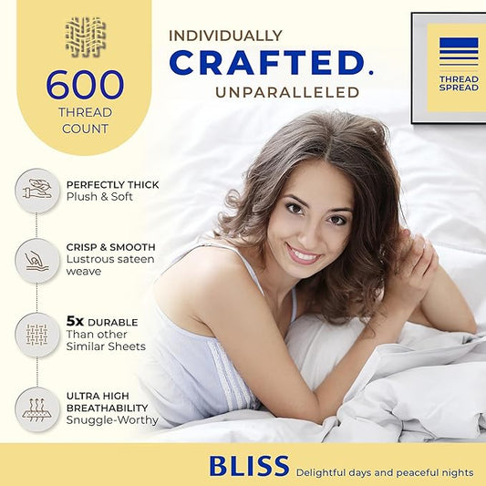 Thread Spread 100% Egyptian Cotton Pillow Cases Queen Size Set of 4 - Luxury 600 Series Bliss Collection Queen Pillow Cases (Pack of 2, Dark Grey), Hotel Cotton Pillowcases, Sateen Finish