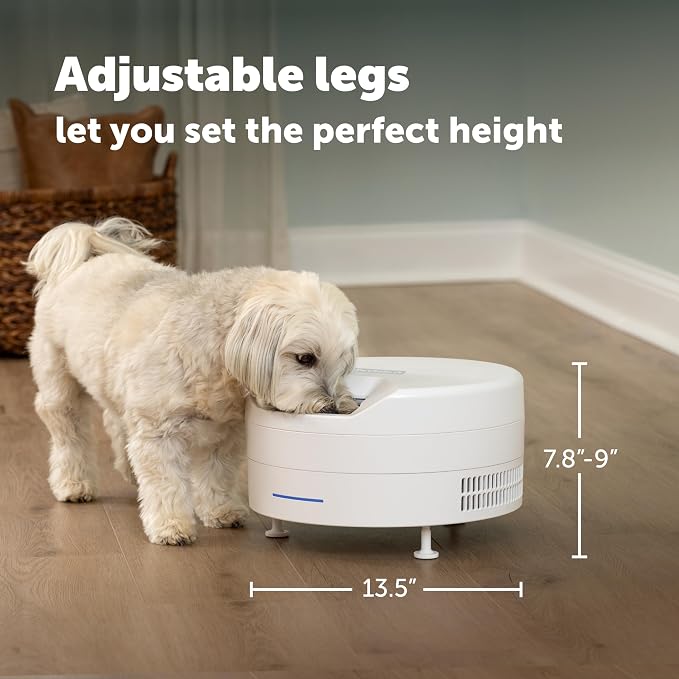 PetSafe FreshFeed Refrigerated Automatic Wet Food Feeder, 6 Meals, White | 40F Dual Semiconductor Cooling, Keeps Wet Food Fresh, Automatic 6-Meal Rotating Tray, App-Controlled Scheduling