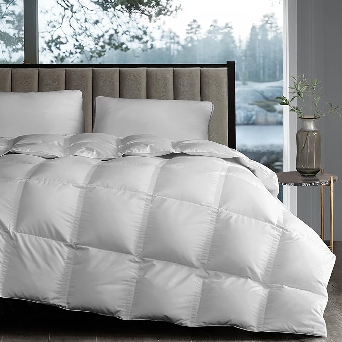 Hotel Grand White Goose Down Fiber Comforter Twin Size - Luxury Hotel Comforter Lightweight Duvet Insert Twin with Corner Loops - 2.5cm Breathable Panel for Summer and Hot Sleeper, 68" x 90"