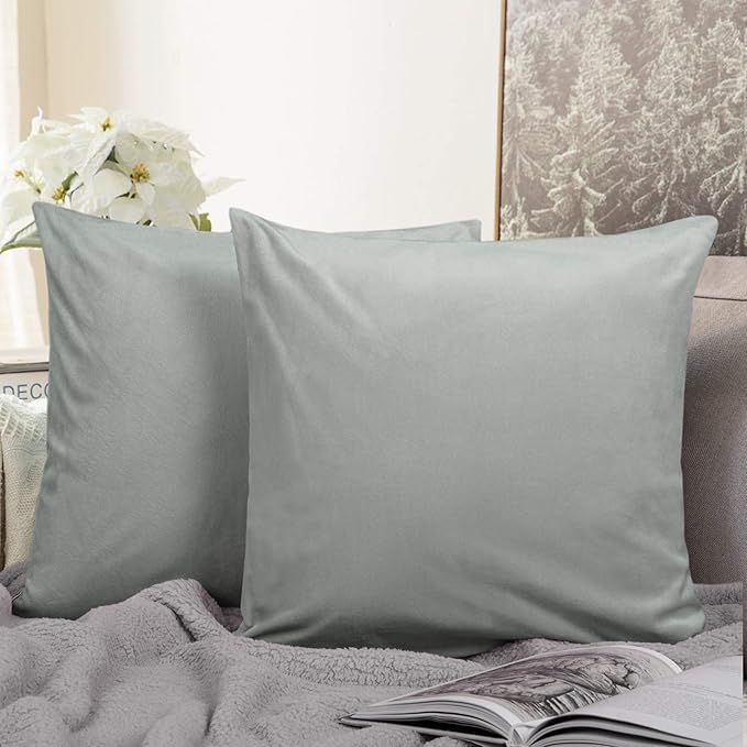 NTBAY Velvet 2 Pack Square Zippered Throw Pillow Covers, Super Soft and Luxury Euro Cushion Covers for Sofa, Couch, 24x24 Inches, Light Grey