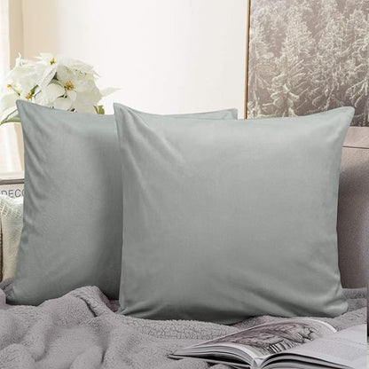 NTBAY Velvet 2 Pack Square Zippered Throw Pillow Covers, Super Soft and Luxury Euro Cushion Covers for Sofa, Couch, 24x24 Inches, Light Grey