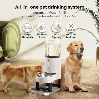 CZPET Elevated Dog Water Bowl Dispenser for Large Dogs (9.5L+Stand,White) | With Stainless Steel Bowl Gravity Waterer, Large Capacity and Drinking Area Noise-Free for Pets