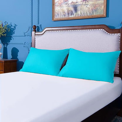 NTBAY Standard Pillowcase Set - 2 Pack Brushed Microfiber - Soft, Wrinkle-Free, Fade, Stain-Resistant, Pillow Cases with Envelope Closure - 20x26 Inches, Blue