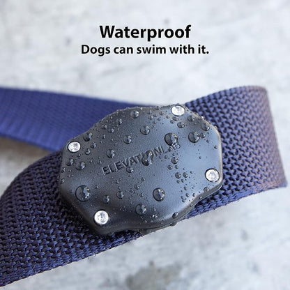 Elevation Lab AirTag Dog Collar Holder - Waterproof (2 Pack) | Secure, Durable, Fits Any Collar Width, Doesn't Dangle, Comfortable