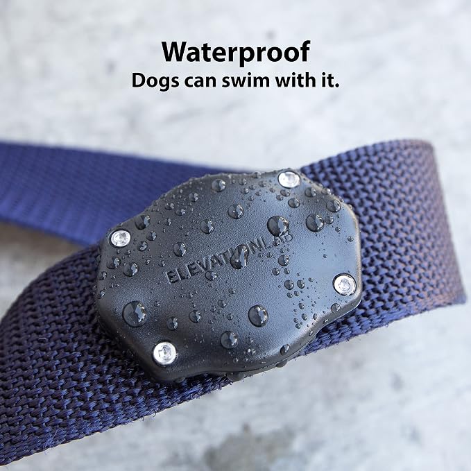 Elevation Lab AirTag Dog Collar Holder - Waterproof | Secure, Durable, Fits Any Collar Width, Doesn't Dangle, Comfortable