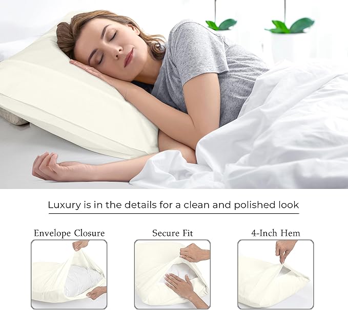 Royale Linens Standard Pillowcase Set of 2 - Bed Pillow Cover - 20"x26" - 1800 Brushed Microfiber, Wrinkle & Fade Resistant - Soft & Cozy- Standard Size Pillow Case (STD,Ivory)