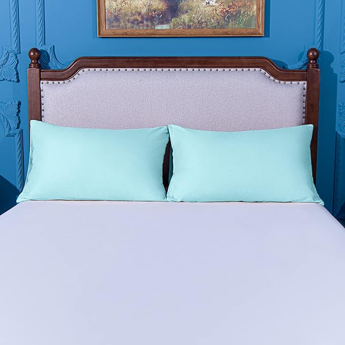 NTBAY King Pillowcase Set - 2 Pack Brushed Microfiber 20x40 Pillowcases - Soft, Wrinkle-Free, Fade-Resistant, Stain-Resistant, Aqua Pillowcases with Envelope Closure - 20x40 Inches, Aqua