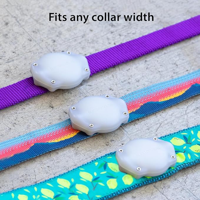AirTag Dog Collar Holder - Waterproof - Elevation Lab (2 Pack) | Secure, Durable, Fits Any Collar Width, Doesn't Dangle, Comfortable, Glow in The Dark