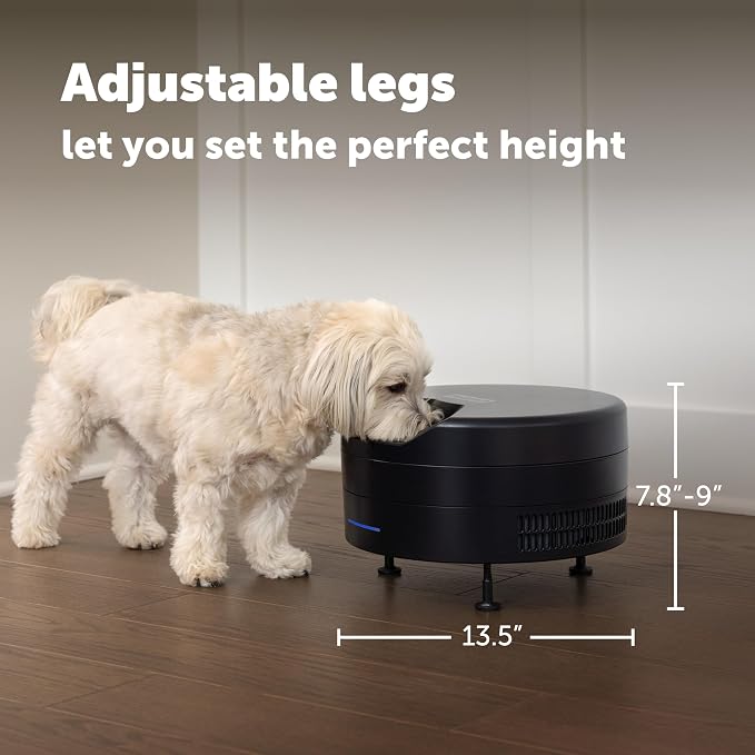 PetSafe FreshFeed Refrigerated Automatic Wet Food Feeder, 6 Meals, Black | 40F Dual Semiconductor Cooling, Keeps Wet Food Fresh, Automatic 6-Meal Rotating Tray, App-Controlled Scheduling